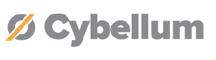 车载系统模块信息安全测试工具→ Cybe